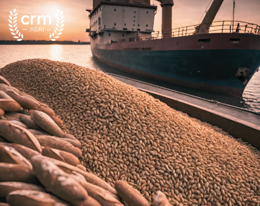 Report Highlights:

• Wheat - prices extend decline as funds sell, and end-users wait
• Corn - US harvest forecast reassures market - for now
• Crop Condition & Weather - French wheat’s mediocre start