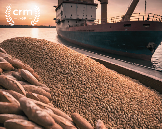 Report Highlights:

• Wheat - Prices bounce, as Black Sea supply risks mount
• Corn - futures mark time, awaiting key US sowings report
• Crop Condition & Weather - Rains cease in southern Russia